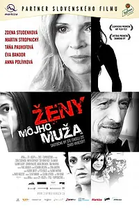 Постер к фильму «Женщины моего мужа (2009)»