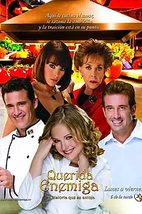 Главный постер сериала «Дорогой враг (2008)»