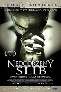 Главный постер фильма «Невыполнение обещания (2009)»