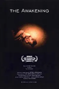 Постер к фильму «The Awakening (1996)»