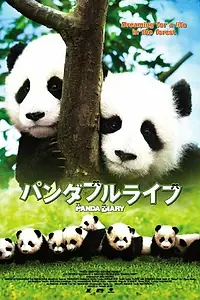 Постер к фильму «Дневник панды (2008)»