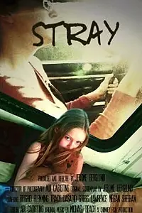 Постер к фильму «Stray (2008)»