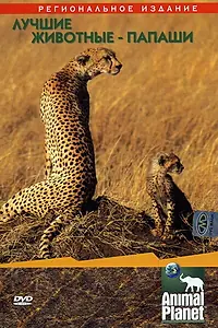 Главный постер фильма «Animal Planet: Лучшие животные-папаши (2004)»