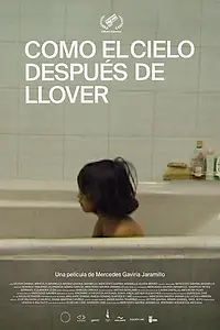 Главный постер фильма «Como el cielo después de llover (2020)»