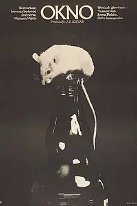 Постер к фильму «Окно (1983)»