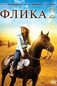 Постер к фильму «Флика 2 (2010)»