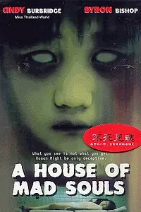 Главный постер фильма «Дом безумных душ (2003)»