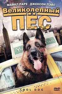 Постер к фильму «Великолепный пес (2010)»
