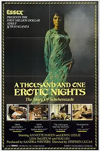 Главный постер фильма «Тысяча и одна эротическая ночь (1982)»