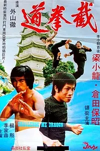 Постер к фильму «Дерущийся дракон (1975)»