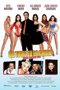 Постер к фильму «Тигр в постели (2009)»