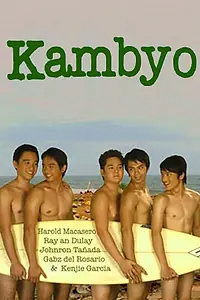 Постер к фильму «Пульт (2008)»