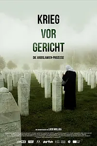 Главный постер сериала «Krieg vor Gericht - Die Jugoslawien-Prozesse (2021)»