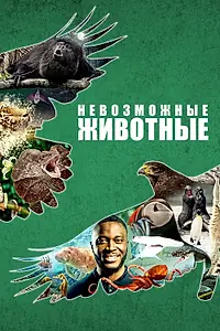 Главный постер сериала «Невозможные животные (2021)»