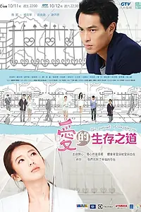 Постер к сериалу «В погоне за счастьем (2013 - 2014)»