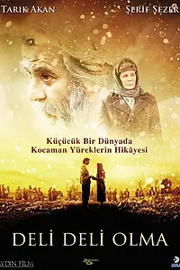 Постер к фильму «Не сходи с ума (2009)»