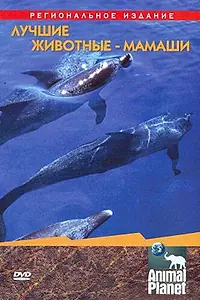Главный постер фильма «Animal Planet. Лучшие животные-мамаши (2004)»