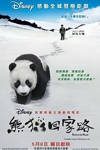Постер к фильму «След панды (2009)»
