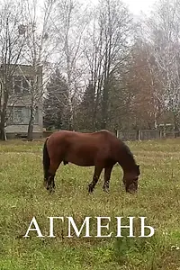 Постер к фильму «Агмень (2017)»