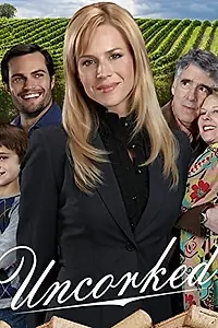 Постер к фильму «Откупорили (2009)»