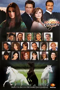 Постер к сериалу «Завтра – это навсегда (2008 - 2009)»