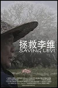 Постер к фильму «Saving Levi (2009)»