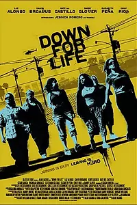 Постер к фильму «Вниз по жизни (2009)»