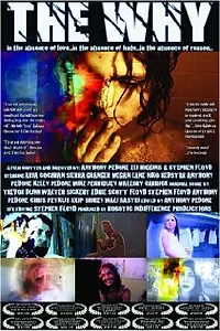 Постер к фильму «Почему (2009)»