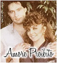 Постер к сериалу «Запретная любовь (1986)»