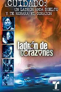 Постер к сериалу «Под маской мстителя (2003)»
