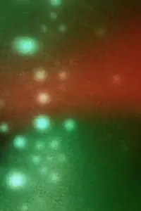 Постер к фильму «Reflex (2000)»