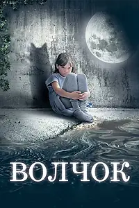 Постер к фильму «Волчок (2009)»