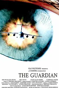 Постер к фильму «Защитник (2010)»