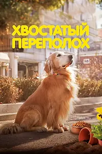 Постер к фильму «Хвостатый переполох (2024)»