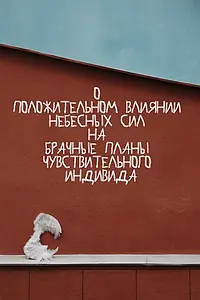 Постер к фильму «О положительном влиянии небесных сил на брачные планы чувствительного индивида (2020)»