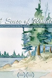 Главный постер фильма «A Sense of Wonder (2008)»
