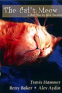 Главный постер фильма «Мяуканье кошки (2006)»