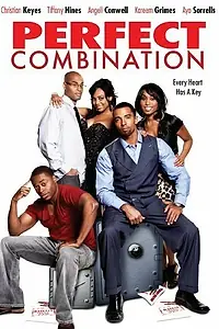 Постер к фильму «Perfect Combination (2010)»