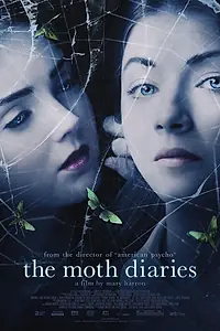 Постер к фильму «Дневники мотылька (2011)»