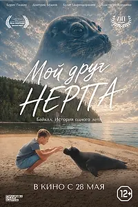 Постер к фильму «Мой друг нерпа (2025)»