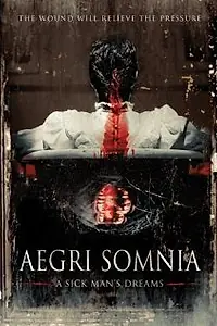 Главный постер фильма «Aegri Somnia (2008)»