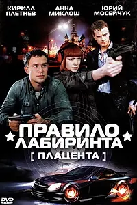 Постер к сериалу «Правило лабиринта: Плацента (2009)»
