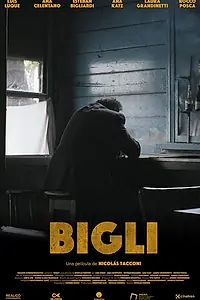 Постер к фильму «Bigli (2021)»