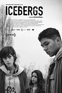 Постер к фильму «Icebergs (2007)»