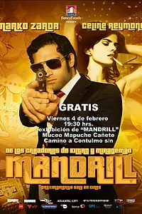 Постер к фильму «Агент Мандрилл (2009)»
