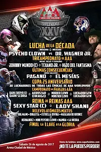 Постер к фильму «Triplemania XXV (2017)»