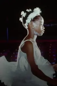 Главный постер фильма «Flight of the Swan (1992)»