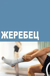 Постер к сериалу «Жеребец (2009 - 2011)»