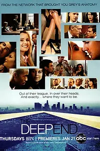 Постер к сериалу «В паутине закона (2010)»