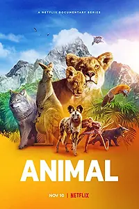 Главный постер сериала «Удивительные животные (2021)»